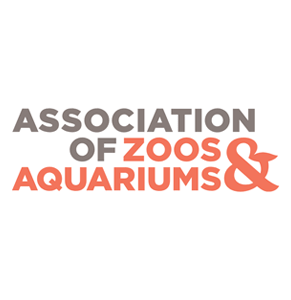 aza logo