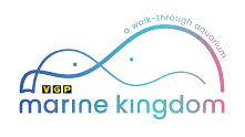 VGP Marine & Universal Kingdom